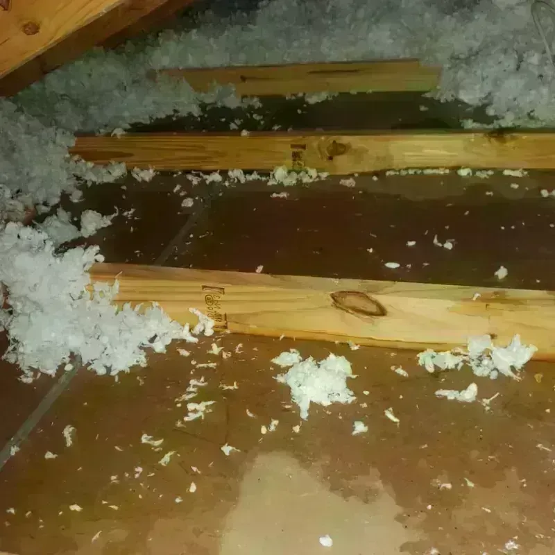 Attic Water Damage in New Milford, CT